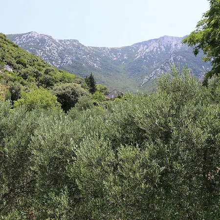 With Parking Space Duba Peljeska, Peljesac - 10229 *