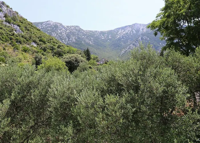 With Parking Space Duba Peljeska, Peljesac - 10229 *